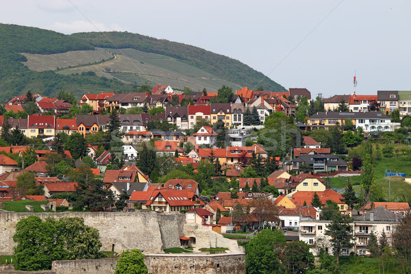 fortress and houses under hill Eger cityscape Stock photo © goce