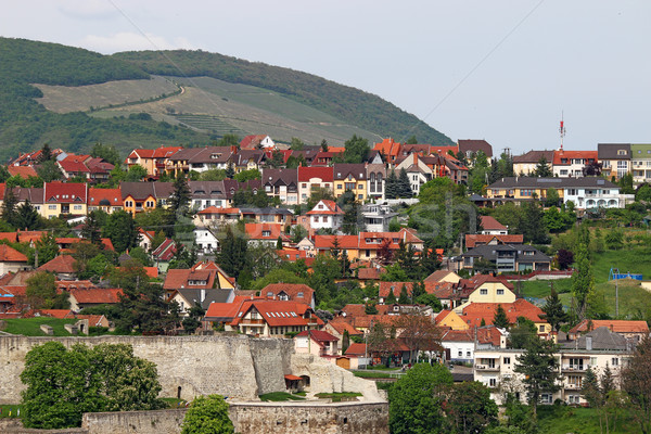 Foto stock: Casas · colina · cityscape · edifício · verde