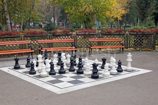 Schach Park Herbstsaison Sport Garten Krieg Stock foto © goce