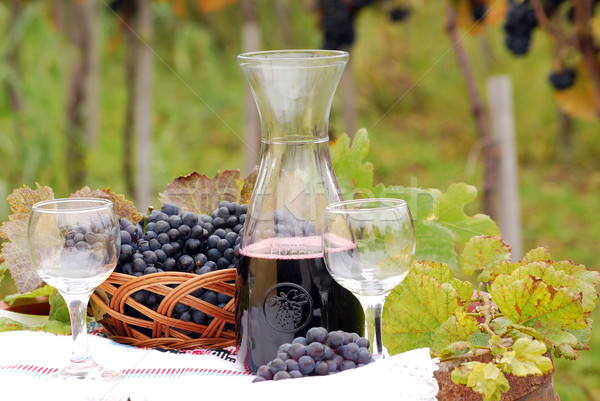 Rotwein Trauben Herbstsaison Blatt Glas grünen Stock foto © goce