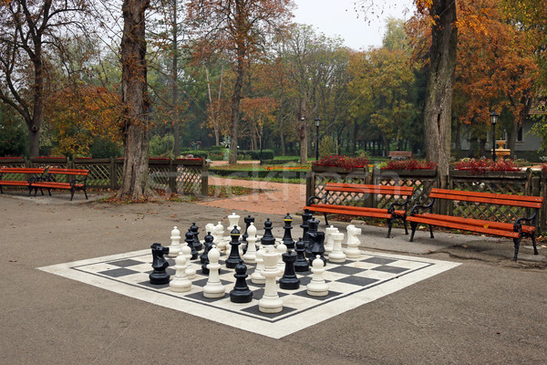 black and white chess figures in park autumn season Stock photo © goce