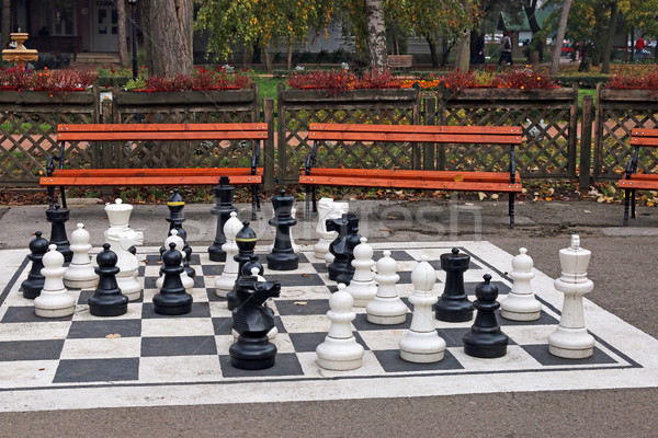 chess figures in park autumn season  Stock photo © goce