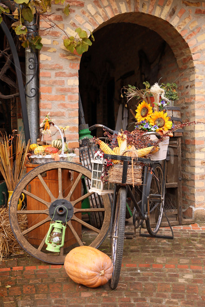 farm yard with old stuff autumn season Stock photo © goce