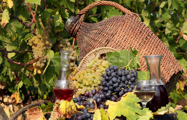 Szőlőskert piros fehérbor levél üveg szőlő Stock fotó © goce