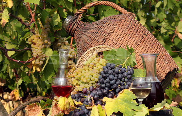 Weinberg rot Weißwein Blatt Glas Trauben Stock foto © goce