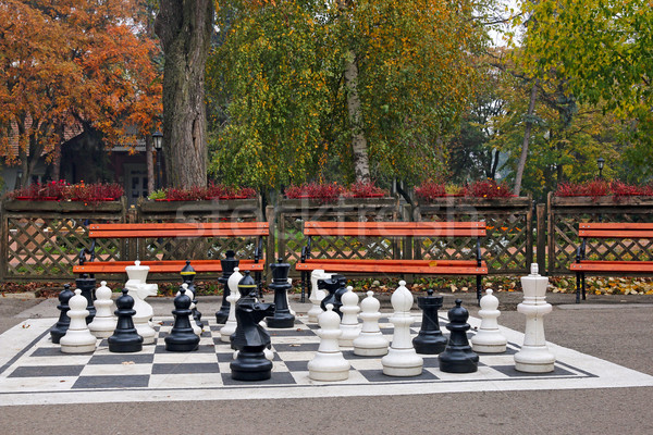Schach Park Herbstsaison Natur Krieg Gruppe Stock foto © goce
