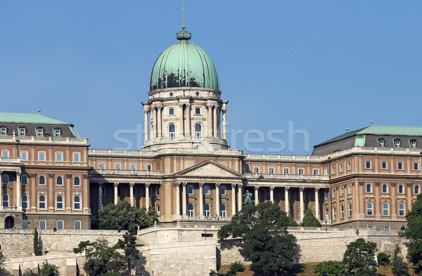 Buda royal castle Budapest Hungary Stock photo © goce