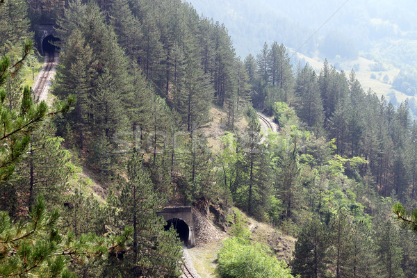 Mountains with railroad and tunnels  Stock photo © goce