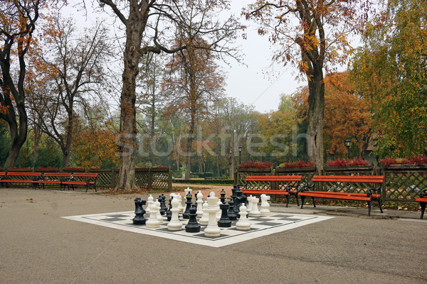 park with chess figures autumn season Stock photo © goce