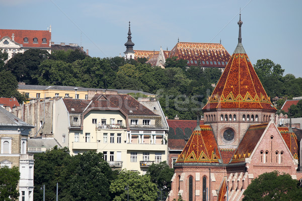 Foto d'archivio: Chiesa · vecchio · edifici · Budapest · Ungheria · albero