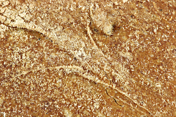 crust bread close up food background  Stock photo © goce