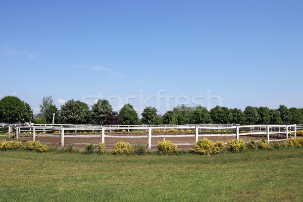 paddock trees and blue sky country landscape Stock photo © goce