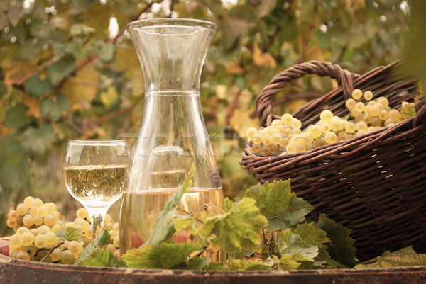 white wine vineyard autumn season Stock photo © goce