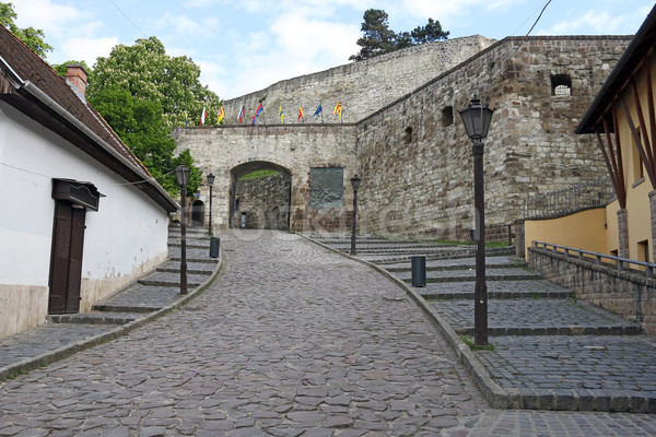 Stock foto: Festung · Eingang · Tor · Ungarn · Straße · Wand