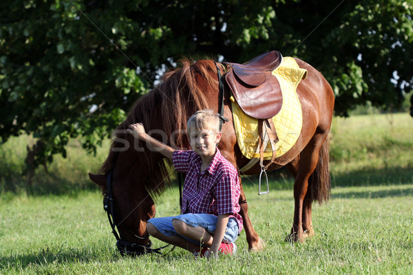 Pónei cavalo criança campo verde Foto stock © goce