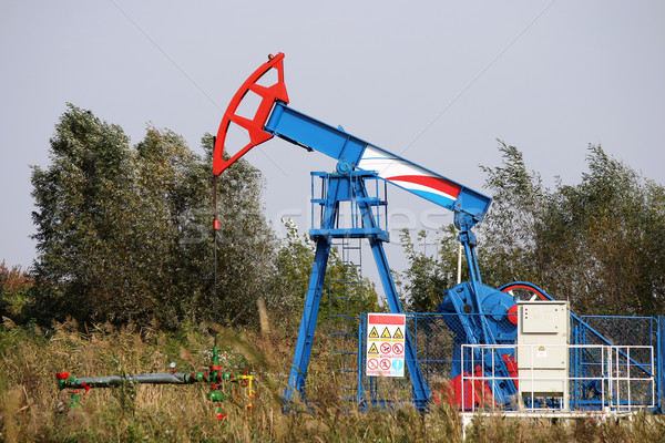 нефть насос ветреный области дерево технологий Сток-фото © goce