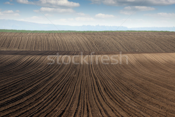 Veld landschap textuur najaar patroon vuil Stockfoto © goce