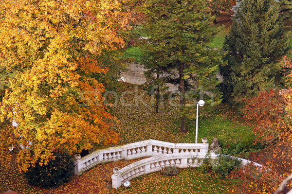 Weiß Stein Treppe Park Herbstsaison Baum Stock foto © goce