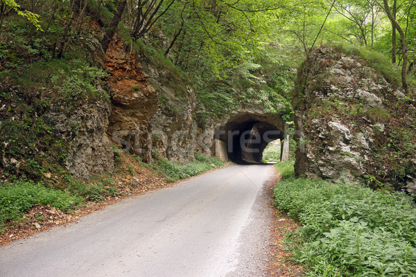 the mountain road passes through a tunnel Stock photo © goce