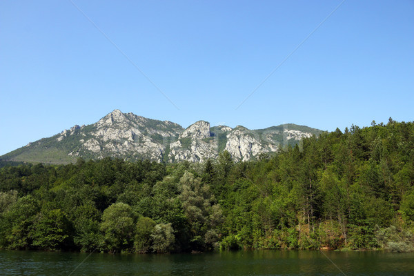 Stock photo: mountain forest and river landscape