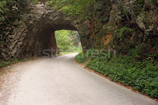 Stock photo: the mountain road passes through a old stone tunnel