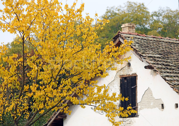 ősz fa régi ház fa otthon zöld Stock fotó © goce