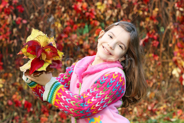 Stock fotó: Boldog · kislány · tart · színes · őszi · levelek · lány
