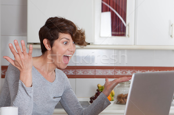 Fericit femeie castigator Internet licitaţie joc Imagine de stoc © godfer