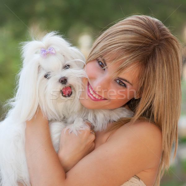 small dog with owner Stock photo © godfer