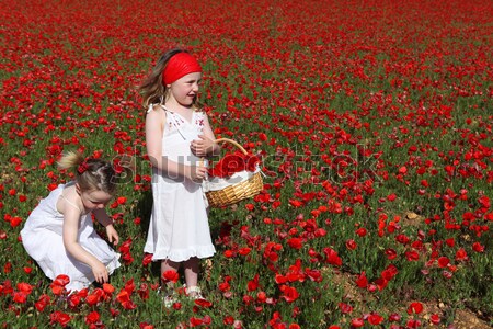 Lata dziecko kwiaty dzieci dziecko Zdjęcia stock © godfer