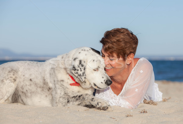 Kobieta starych ratowania psa domowych Zdjęcia stock © godfer