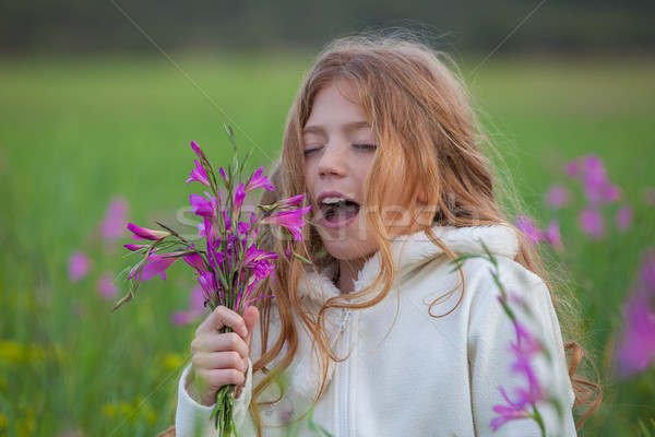 Hooi koorts allergie kid meisje kinderen Stockfoto © godfer