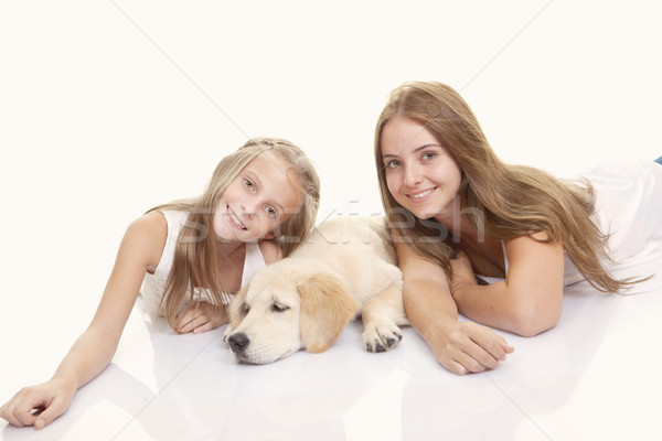 Familia mascota dorado labrador cachorro feliz Foto stock © godfer