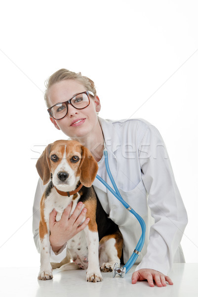 vets surgery with pet dog Stock photo © godfer