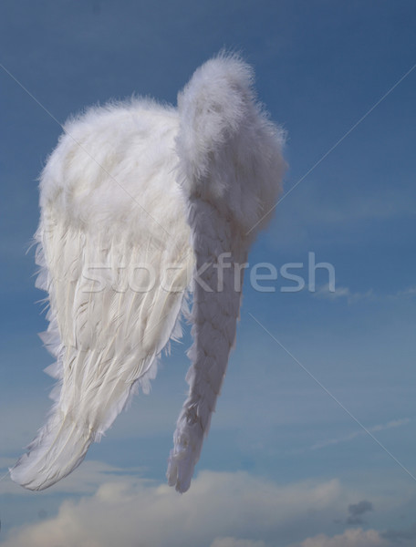 Stock photo: christmas holidays set of angels wings