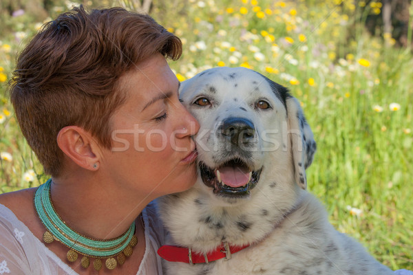 woman kissing pet rescue dog Stock photo © godfer
