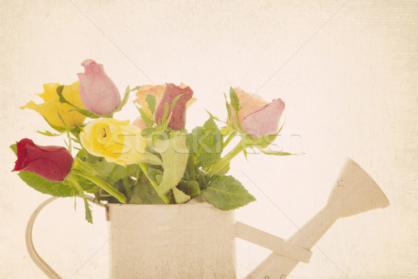 retro filtered roses flower arrangement Stock photo © godfer