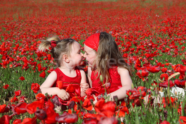 little girls sitting in summer poppy field Stock photo © godfer