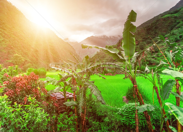徒步 尼泊爾 美麗 景觀 喜馬拉雅山 山 商業照片 © goinyk