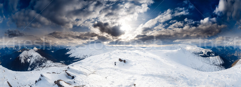 Panoramic winter landscape Stock photo © goinyk