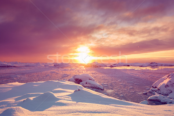 Beautiful violet snow-capped mountains in Antarctica Stock photo © goinyk