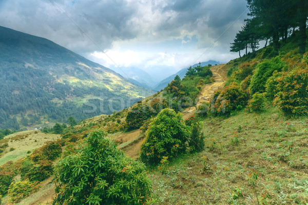 Hermosa montana paisaje vista everest región Foto stock © goinyk