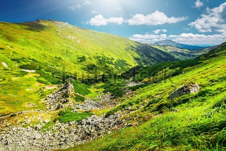Beautiful Asian landscape Stock photo © goinyk