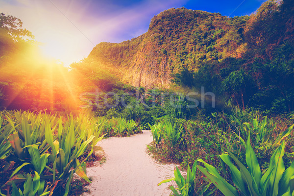 Travel landscape Stock photo © goinyk