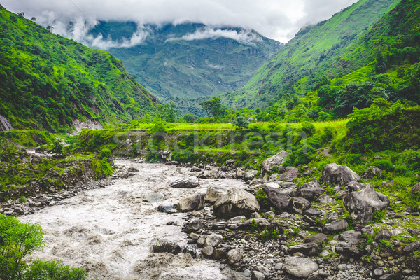 Beautiful Asian landscape Stock photo © goinyk