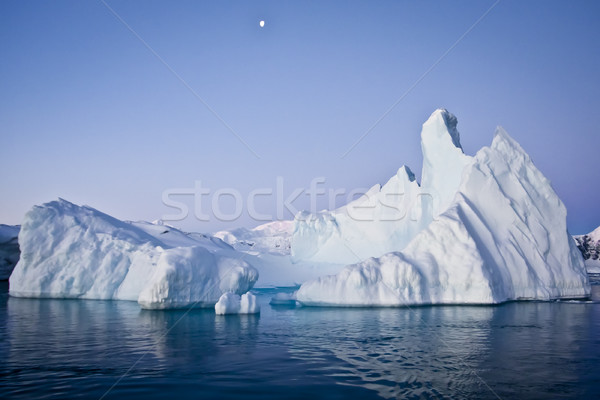 Antarctic iceberg Stock photo © goinyk
