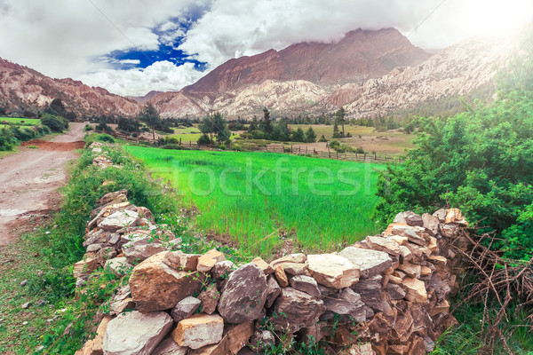 Trekking in Nepal Stock photo © goinyk