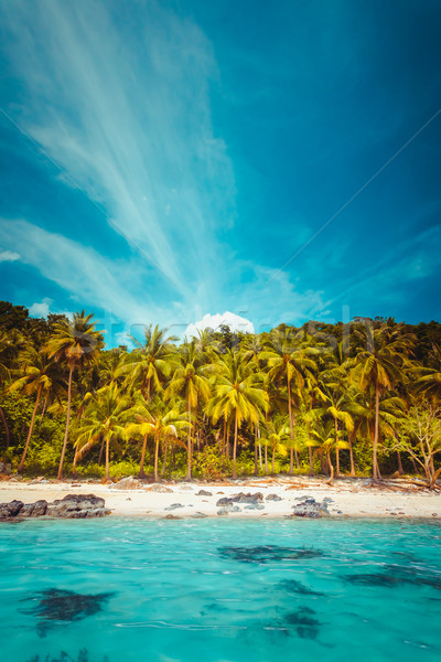 Tropical landscape Stock photo © goinyk