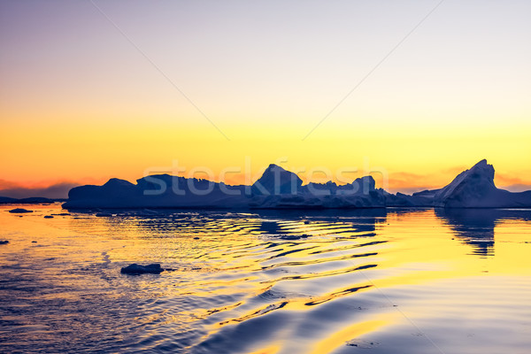 Antarctic Glacier Stock photo © goinyk