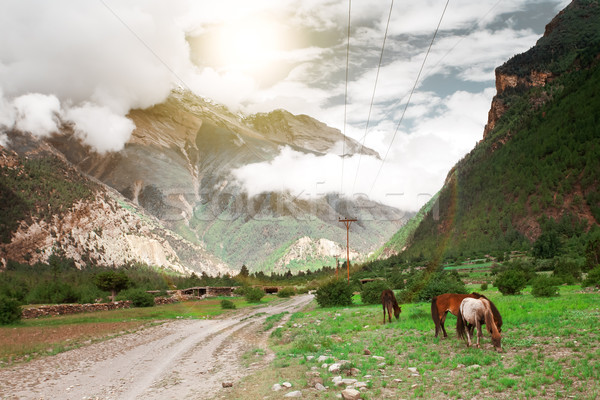 Trekking in Nepal Stock photo © goinyk